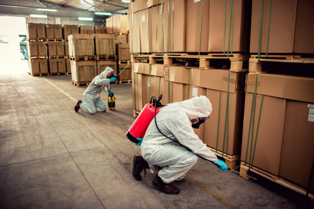 Best Affordable Exterminators  in Whitehall, MI