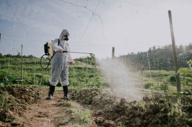 Best Commercial Pest Control Services  in Whitehall, MI