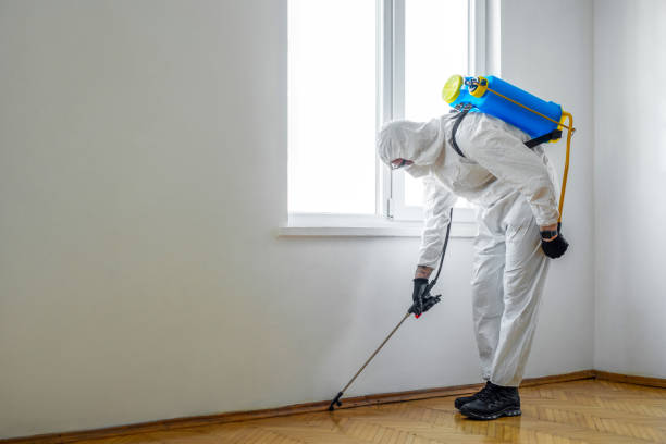 Best Best Pest Control Companies  in Whitehall, MI