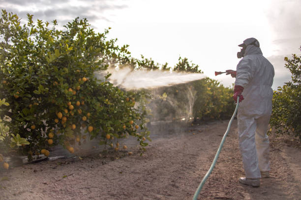 Best Cockroach Control Services  in Whitehall, MI