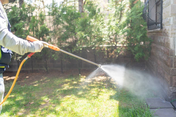 Best Spider Control Near Me  in Whitehall, MI