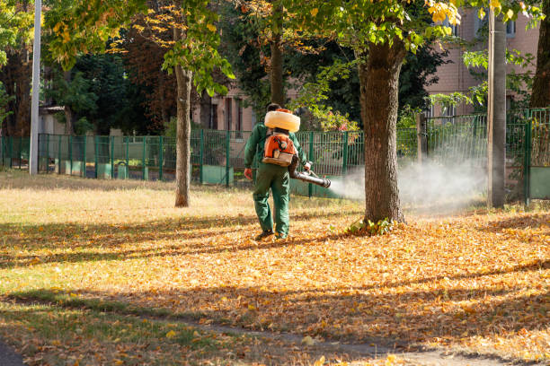 Best Mosquito Control Services  in Whitehall, MI