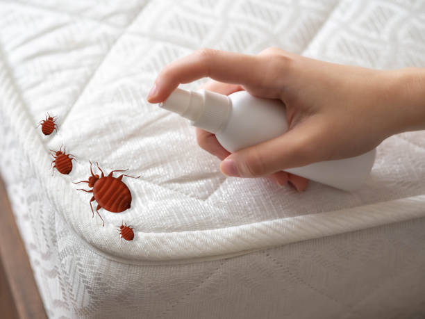 Best Emergency Pest Control  in Whitehall, MI