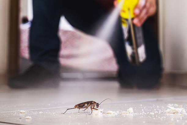 Whitehall, MI Pest Control Company