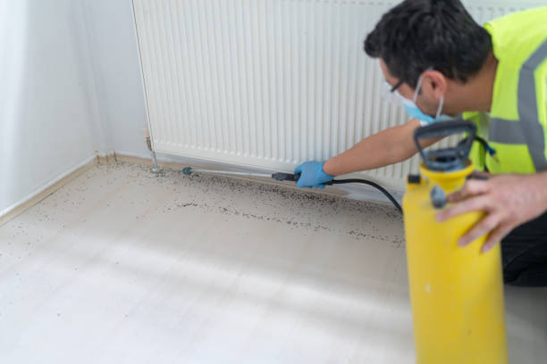 Best Exterminator Services  in Whitehall, MI
