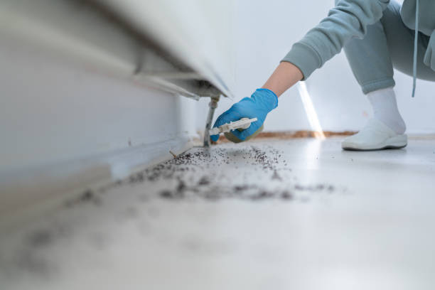 Best Pest Removal Services  in Whitehall, MI