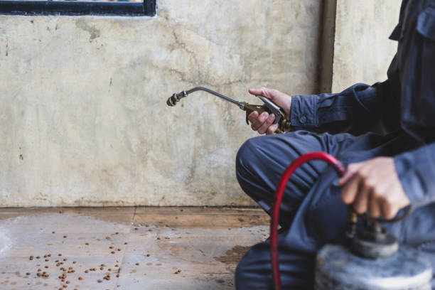 Best Pest Control for Homes  in Whitehall, MI
